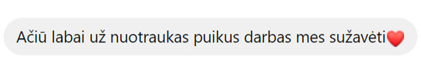 teigiami atsiliepimai po vestuvių fotosesijos